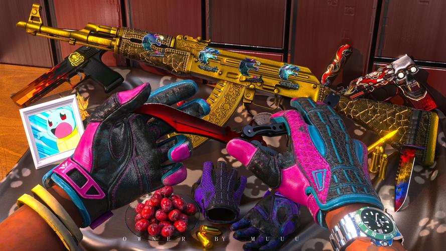 不仅使观众 不仅使观众