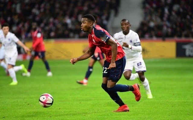 成功晋级 成功晋级