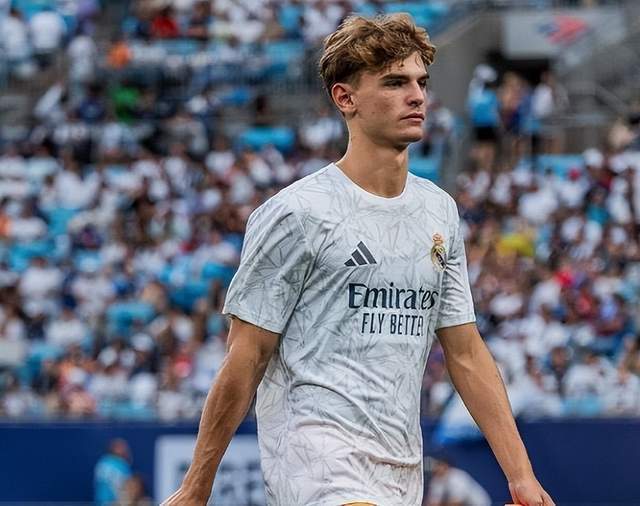 力的结合 力的结合